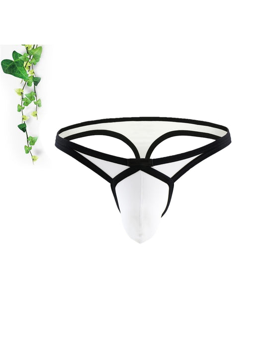 Nylon Sexy Low-Waist Men's Triangle Underwear