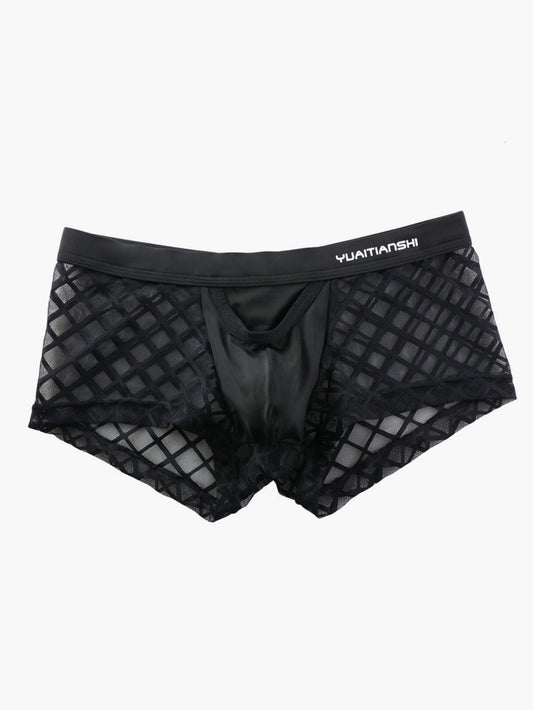 Net Mesh Pattern Sexy Men's Low-Rise Briefs