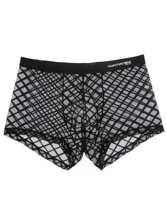 Net Fabric See-Through Men's Sexy Straight-Leg Underwear