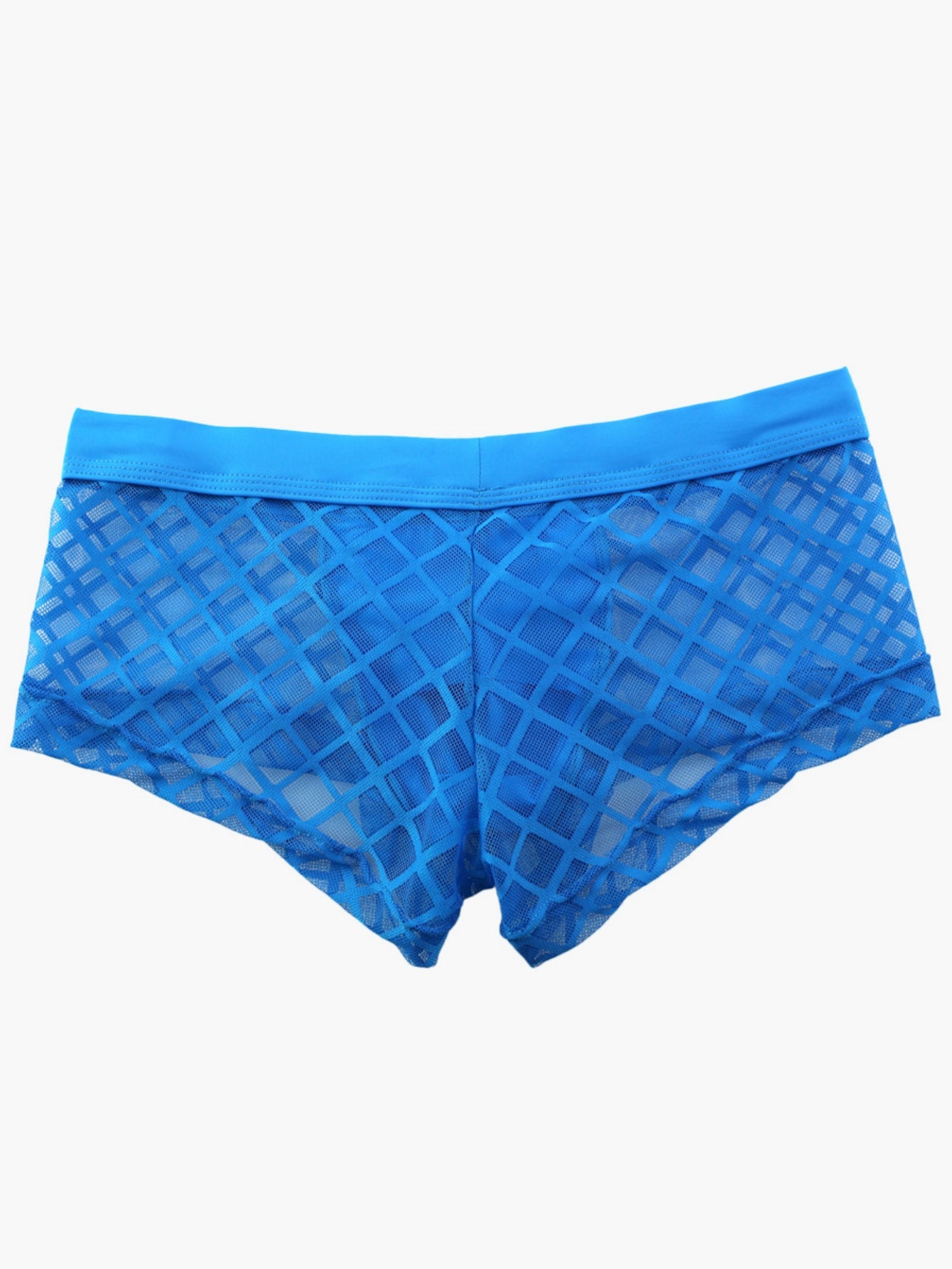 Net Mesh Pattern Sexy Men's Low-Rise Briefs