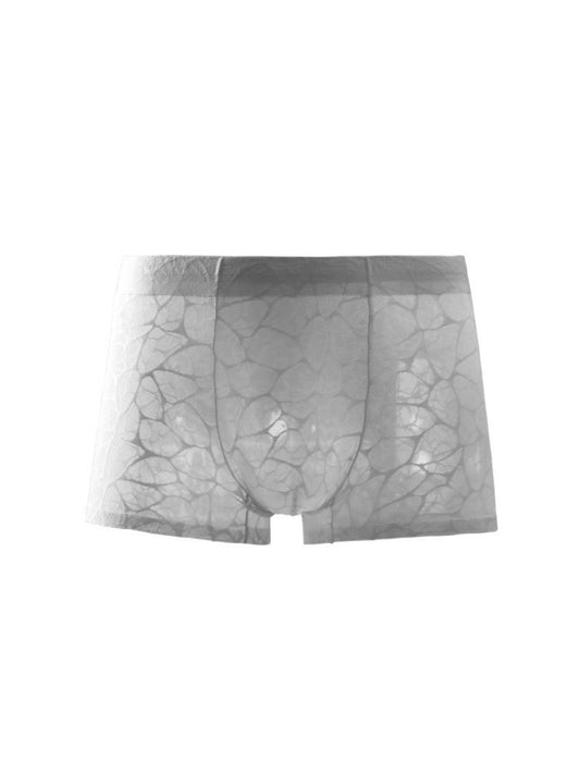 Breathable Net Mesh Lace Sexy Men's Low-Rise Briefs