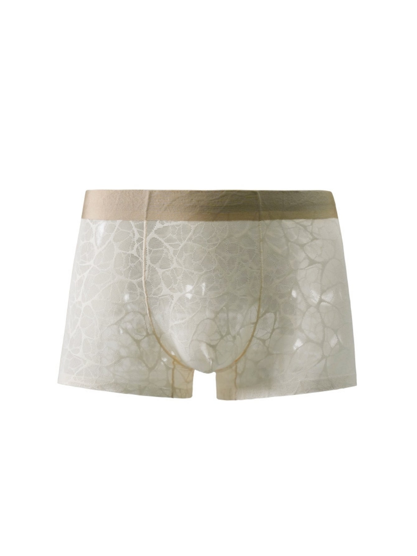 Breathable Net Mesh Lace Sexy Men's Low-Rise Briefs
