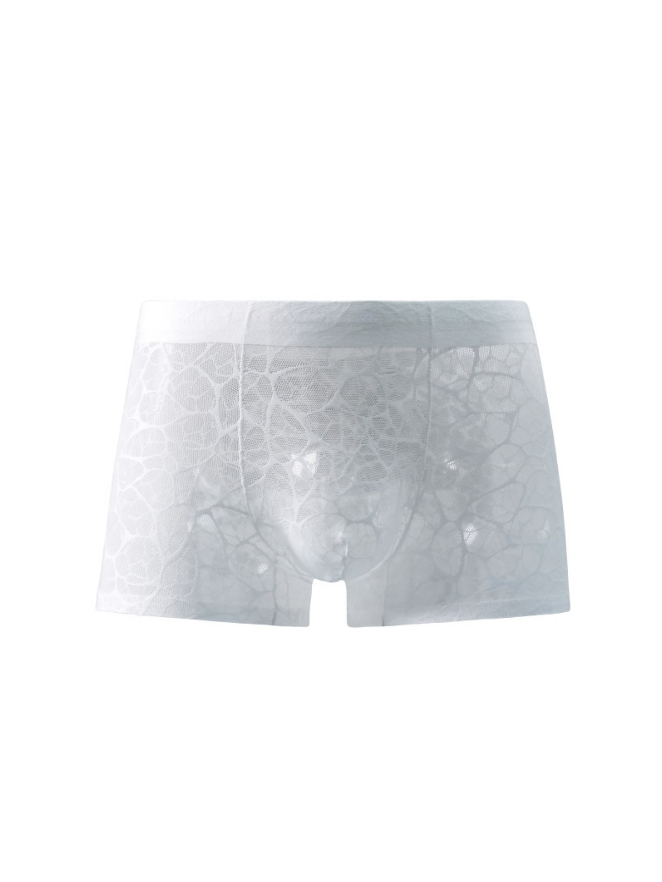 Breathable Net Mesh Lace Sexy Men's Low-Rise Briefs