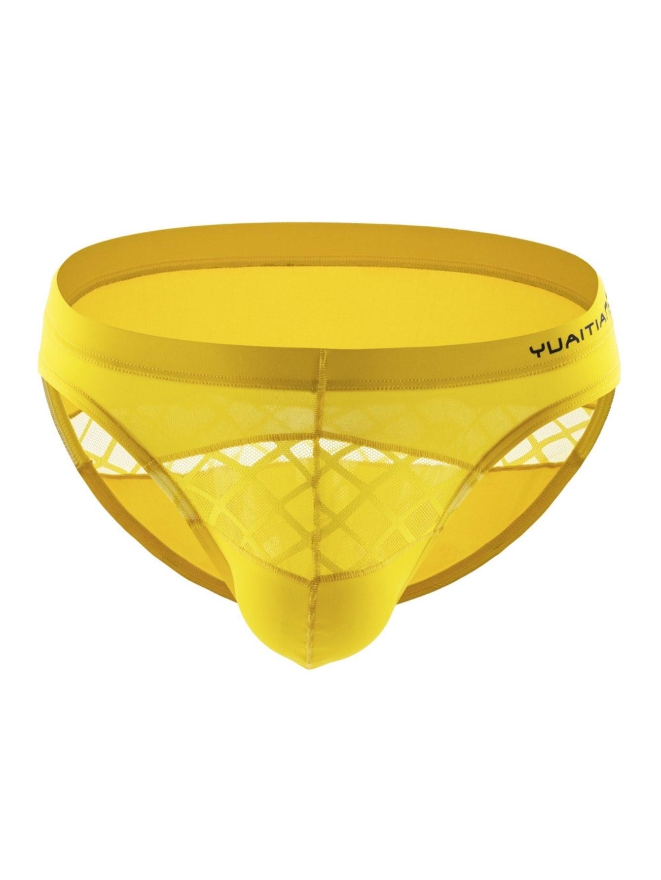 Net Fabric Men's Sexy Triangular Underwear