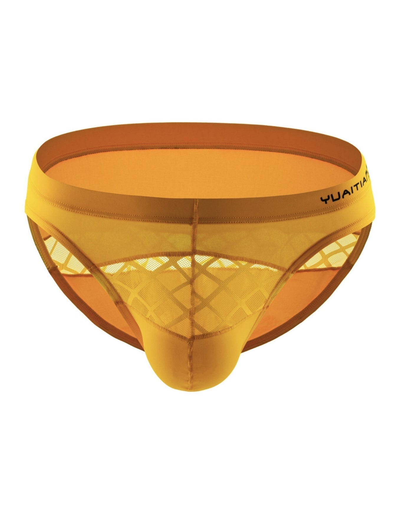 Net Fabric Men's Sexy Triangular Underwear